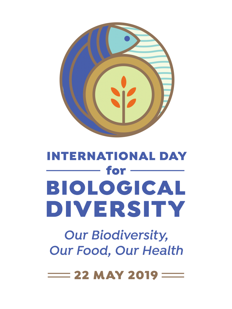 19-00033_Day_for_Biodiversity_logo_English_vertical_transparent_background.png