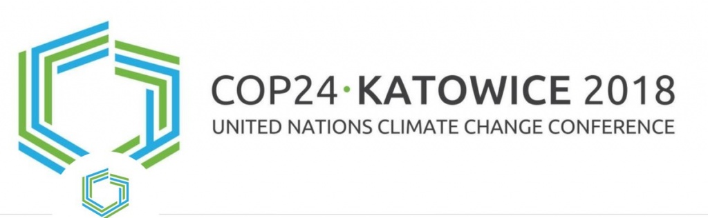 COP 24.jpg