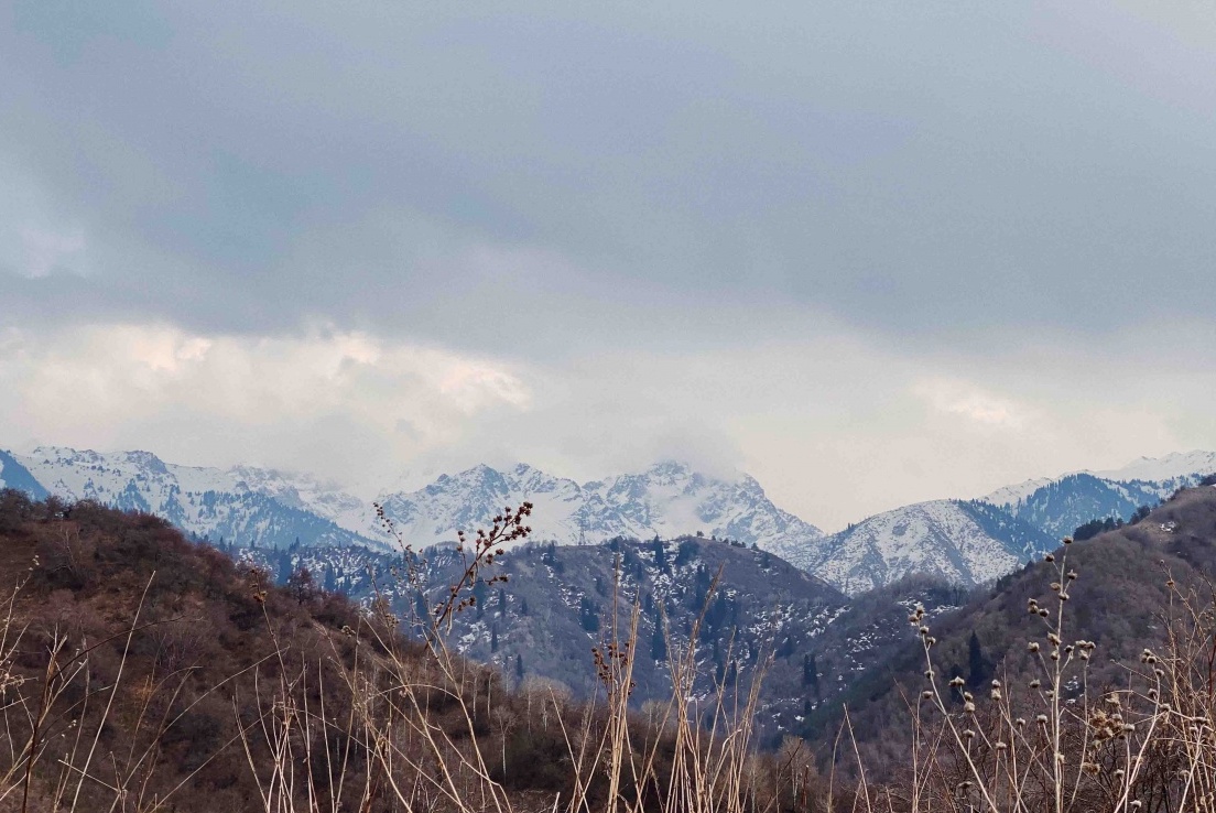 5 примеров того, как коронавирус изменил нашу жизнь