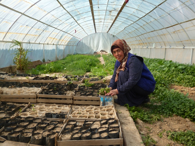 The results of the Central Asian Local Adaptation Technologies and Practices contest